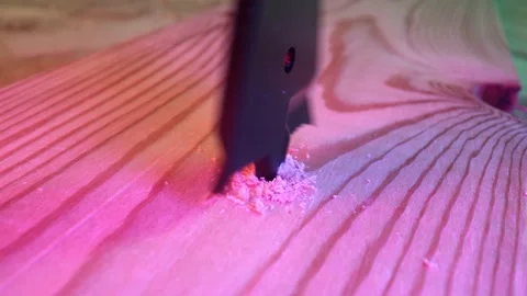 Work on wood with a feather drill close-up. Drilling holes with a professional Vídeo Stock 160112244