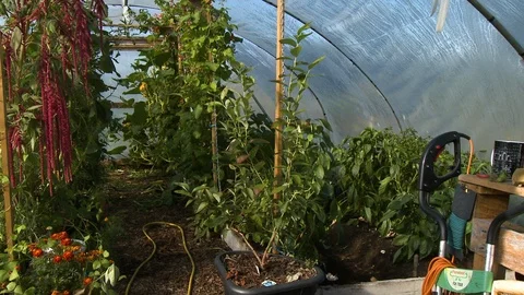 Workbench In Greenhouse Stock Footage 119005977