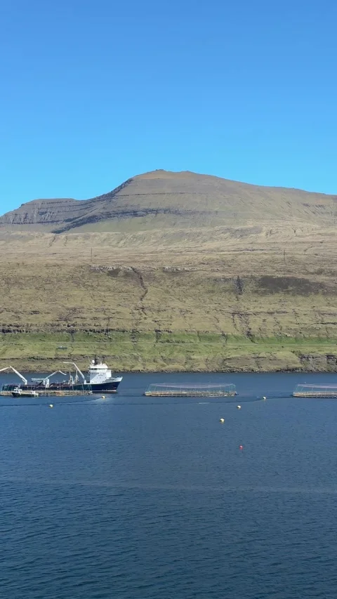 Workboat circles salmon pens on a tranquil bay in the Faroe Islands Stock Footage 310948041