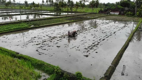 Worker 4K Drone 1 Stock Footage 198880293