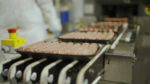 Worker Adjusting Tray of Fresh Sausages on Moving Conveyor Stock Footage 339228151