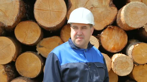 Worker against pile of logs Stock Footage 95955379