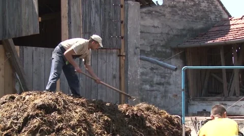 Worker and forklift loading manure Stock-Footage 56513031