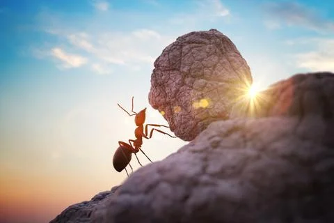 Worker ant is pushing heavy boulder up on hill. 3D rendered illustration. 库存照片