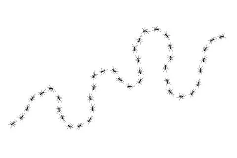 Worker ants trail line flat style design vector illustration isolated on white Stock-Illustration