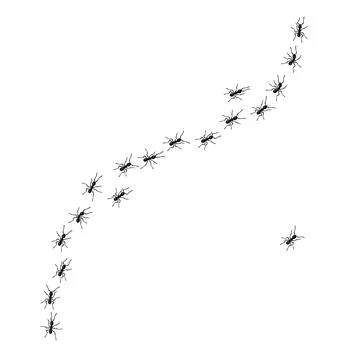 Worker ants trail line flat style design vector illustration isolated on white Illustration