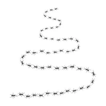 Worker ants trail line flat style design vector illustration isolated on white Illustrazione stock