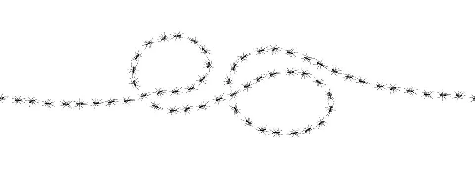 Worker ants trail line flat style design vector illustration isolated on white Illustration