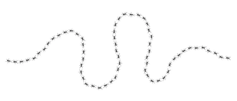 Worker ants trail line flat style design vector illustration isolated on white Stock Illustration
