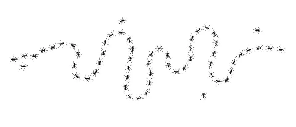 Worker ants trail line flat style design vector illustration isolated on white Stock Illustration