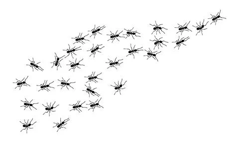 Worker ants trail line flat style design vector illustration isolated on white Illustrazione stock