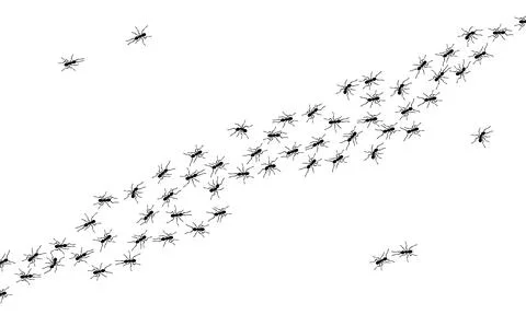 Worker ants trail line flat style design vector illustration isolated on white Illustration