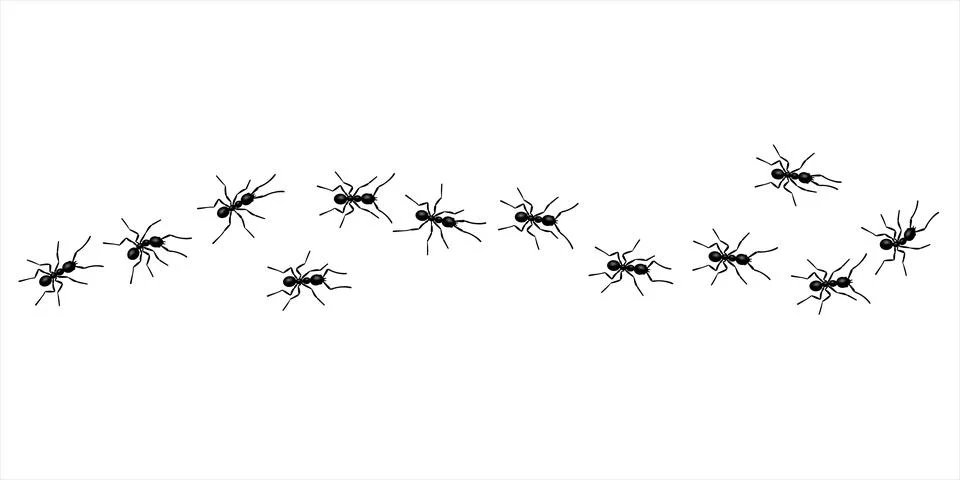Worker ants trail line flat style design vector illustration isolated on white Stock Illustration