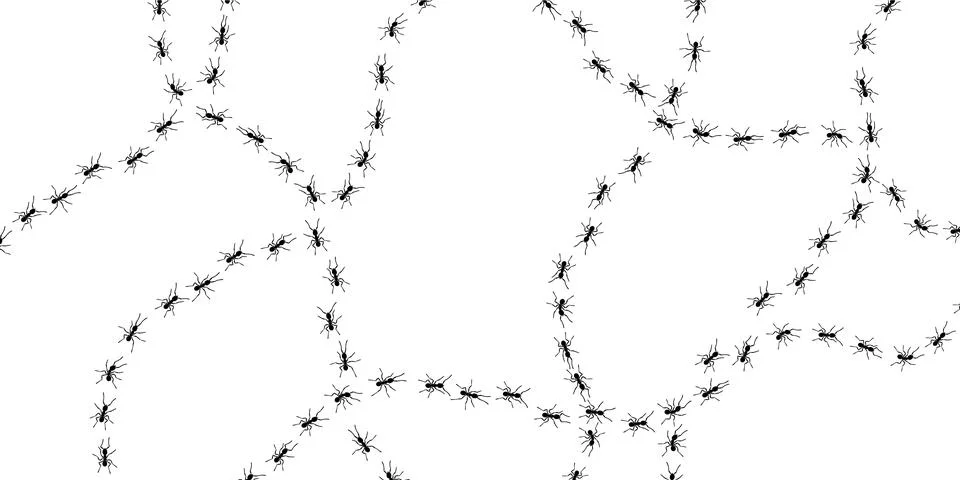 Worker ants trail line flat style design vector illustration isolated on white Stock Illustration