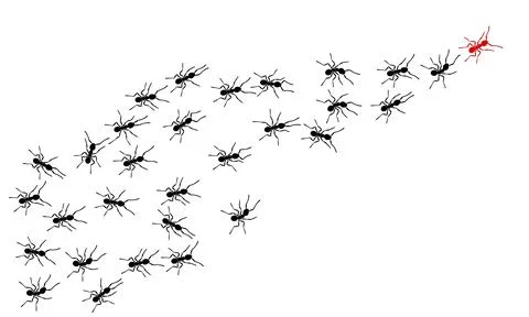 Worker ants trail line flat style design vector illustration isolated on white Stock Illustration