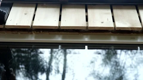 Worker applying paint to wooden siding, action details Stock-Footage 322124070