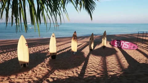 Worker arranges surf board on summer sandy beach with palm tree leaf shadow Video stock 150619969