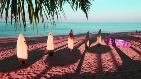 Worker arranges wind surfing or surf board on sandy beach with palm leaf shadow Stock-Footage 150619968