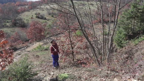 Worker with an axe walks up a hill looking at some branches Video stock 146917898