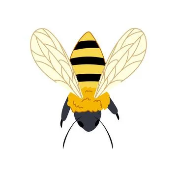Worker bee cartoon vector illustration Stockillustratie