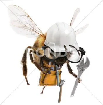Worker bee Stock Illustration