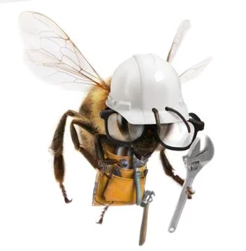 Worker bee Stock Illustration