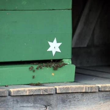 Worker bees on a hive Stock Photos