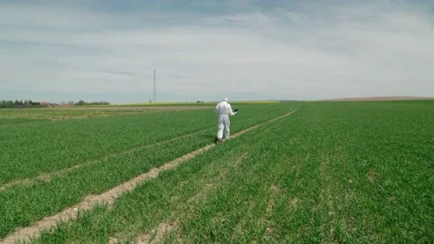 A worker, a biologist in a protective suit with a mask on his face, walks thr Stock Footage 155980870