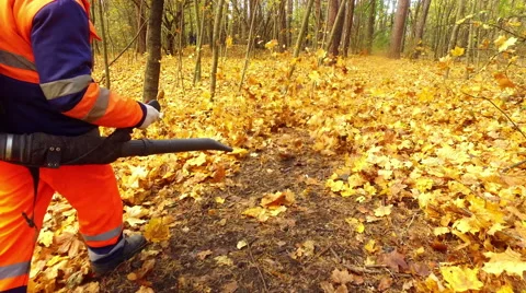 Worker blows the autumn leaves Stock Footage 68972203
