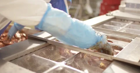 Worker with blue disposable gloves placing marinated meat into plastic trays of Vídeo Stock 339981628