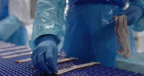 Worker with blue gloves placing strips of bacon on a blue conveyor belt in a Vídeo Stock 339967679