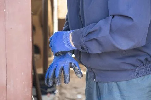 Worker in a blue jacket putting on protective gloves for a manual task at a.. Stock Photos
