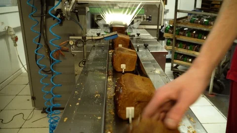 Worker on bread packaging process on a conveyor belt Stock Footage 121594703