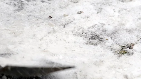 Worker breaking, cleaning the ice with a shovel Stock Footage 99496111