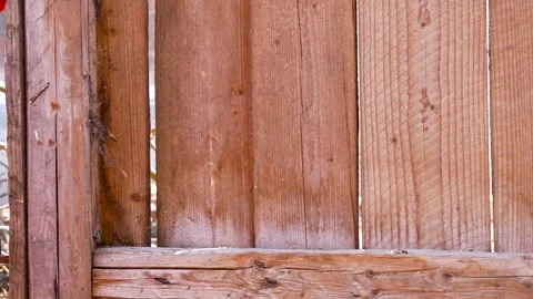 Worker breaking old pine boards with an axe Stock Footage 152078015
