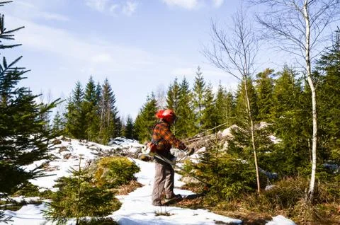 Worker with brush cutter Stock Photos