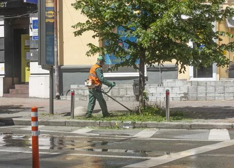 A worker with a brush cutter trims the grass under a tree on a city street. Stock Photos