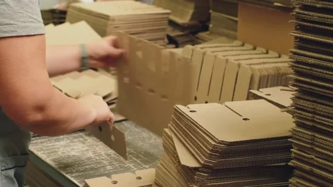 A worker at a cardboard box factory assembles packaging from harvested parts. Stock Footage 221521081
