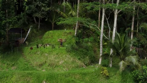 Worker carries baskets of rice Stock Footage 153733055