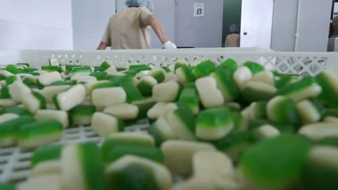 Worker carries a box of sweets to the warehouse. Confectionery factory. Moving Stock Footage 74182659