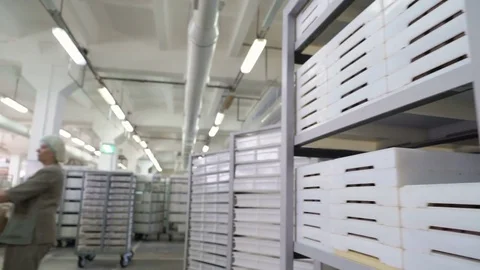 Worker carries a box of sweets to the warehouse. Confectionery factory. Panorama Stock Footage 74182956