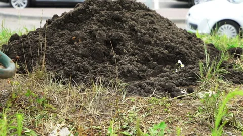 A worker carries a cart with soil Stock Footage 64929203