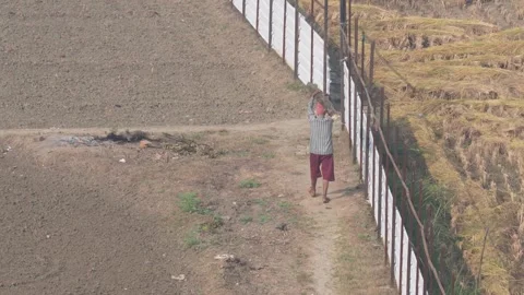 Worker carrying giant tree trunk on head areal view Video stock 293670038