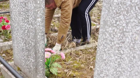 The worker on a cemetery Video stock 62550346