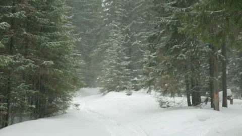 Worker with chain saw going through the winter forest 库存影片 87763122