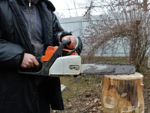Worker with chainsaw and tree stump in a rural yard Stock Photos