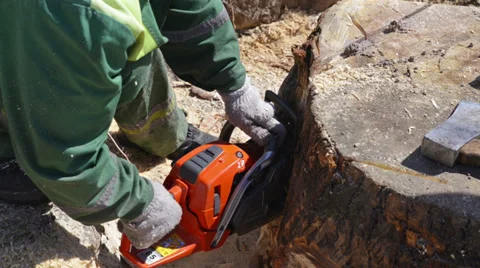 Worker with chainsaw Stock-Footage 37546064