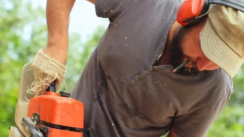 Worker chainsaw sawdust Stock Footage 79785134