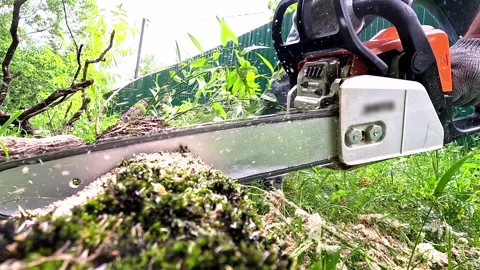A worker with a chainsaw saws a tree Stock Footage 323164409