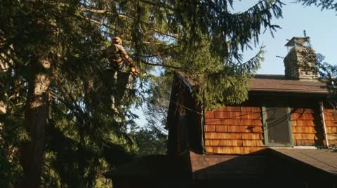 Worker Chainsaws Branches Over Power Lines 库存影片 12103251
